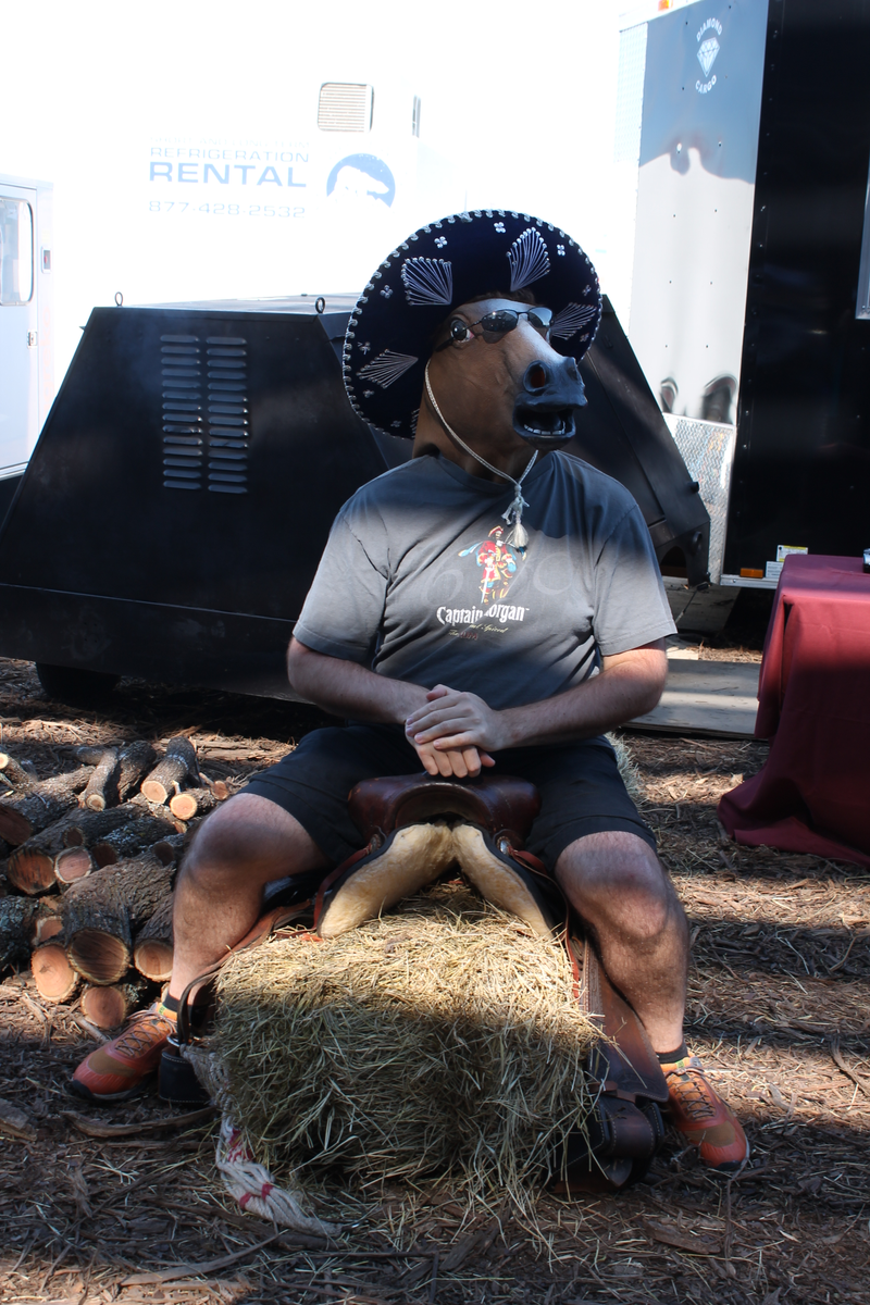 Illustration for article titled Formula 1 Is More Fun In A Horse Mask